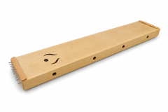 Monochord 1500